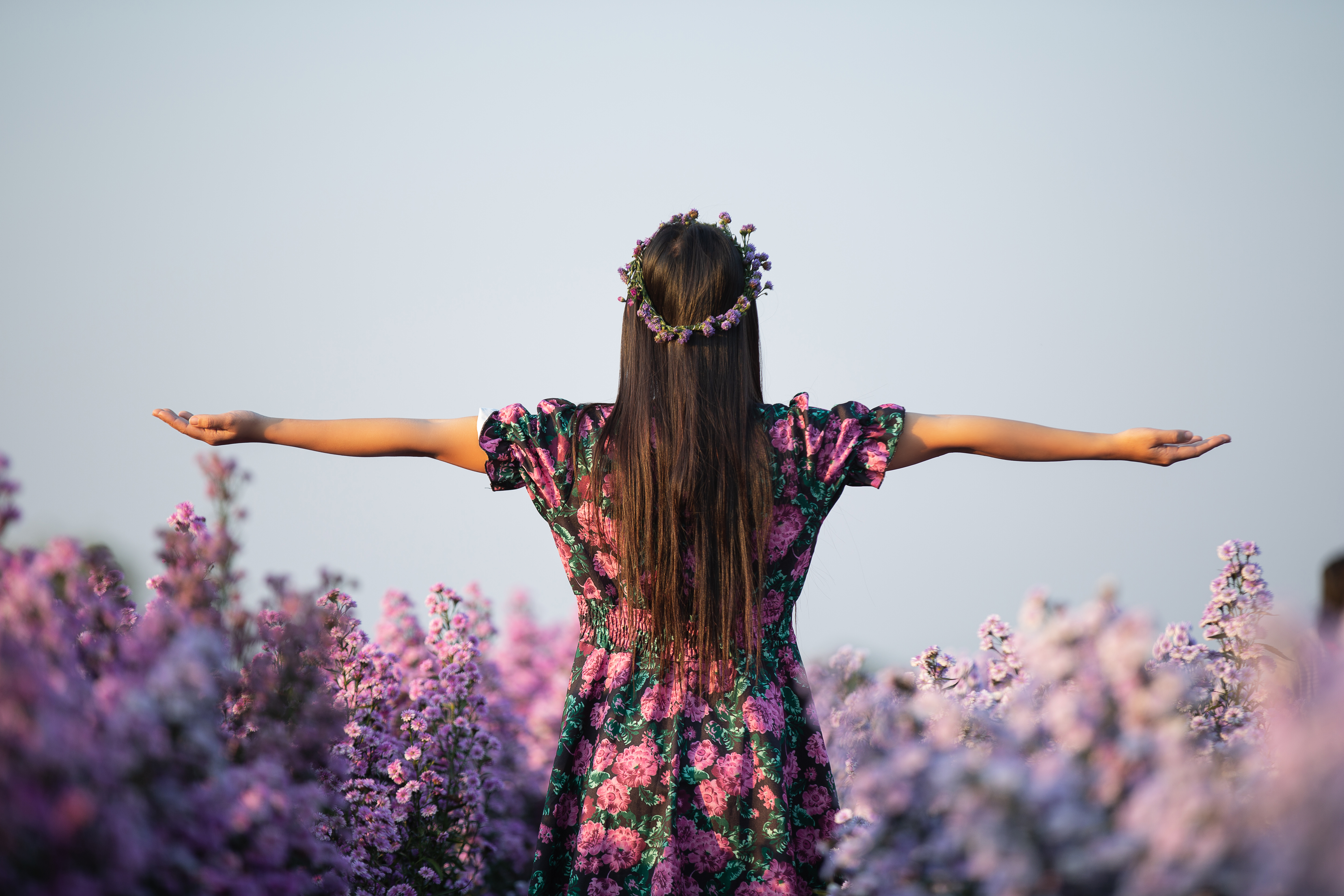 joyfull woman in purple dress among of purple margaret flower